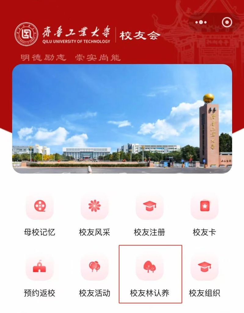 林木葱葱承载岁月印记