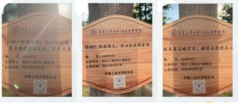当前位置:首页 首页 值年返校