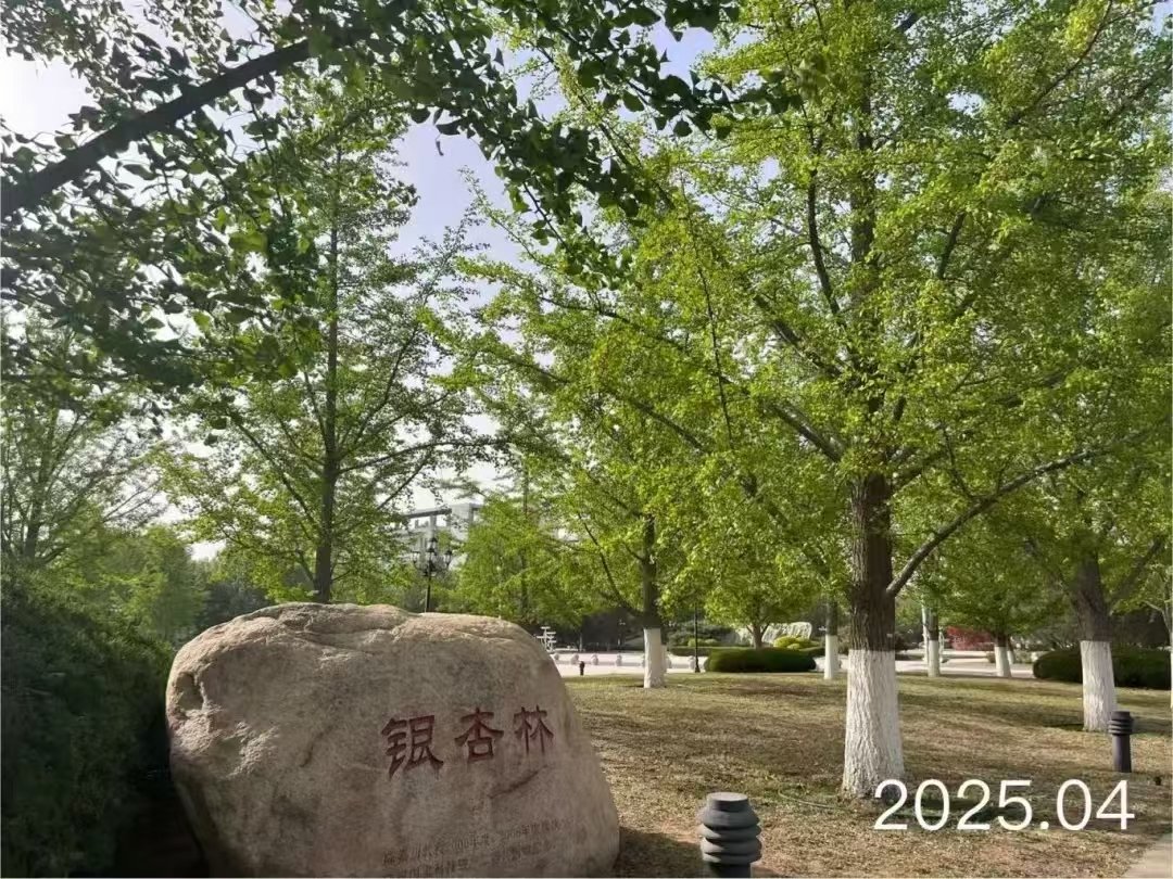 CCTV-5体育频道信使