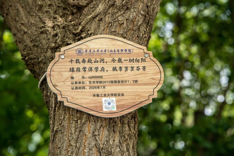 CCTV5体育频道新人权益艺术CCT